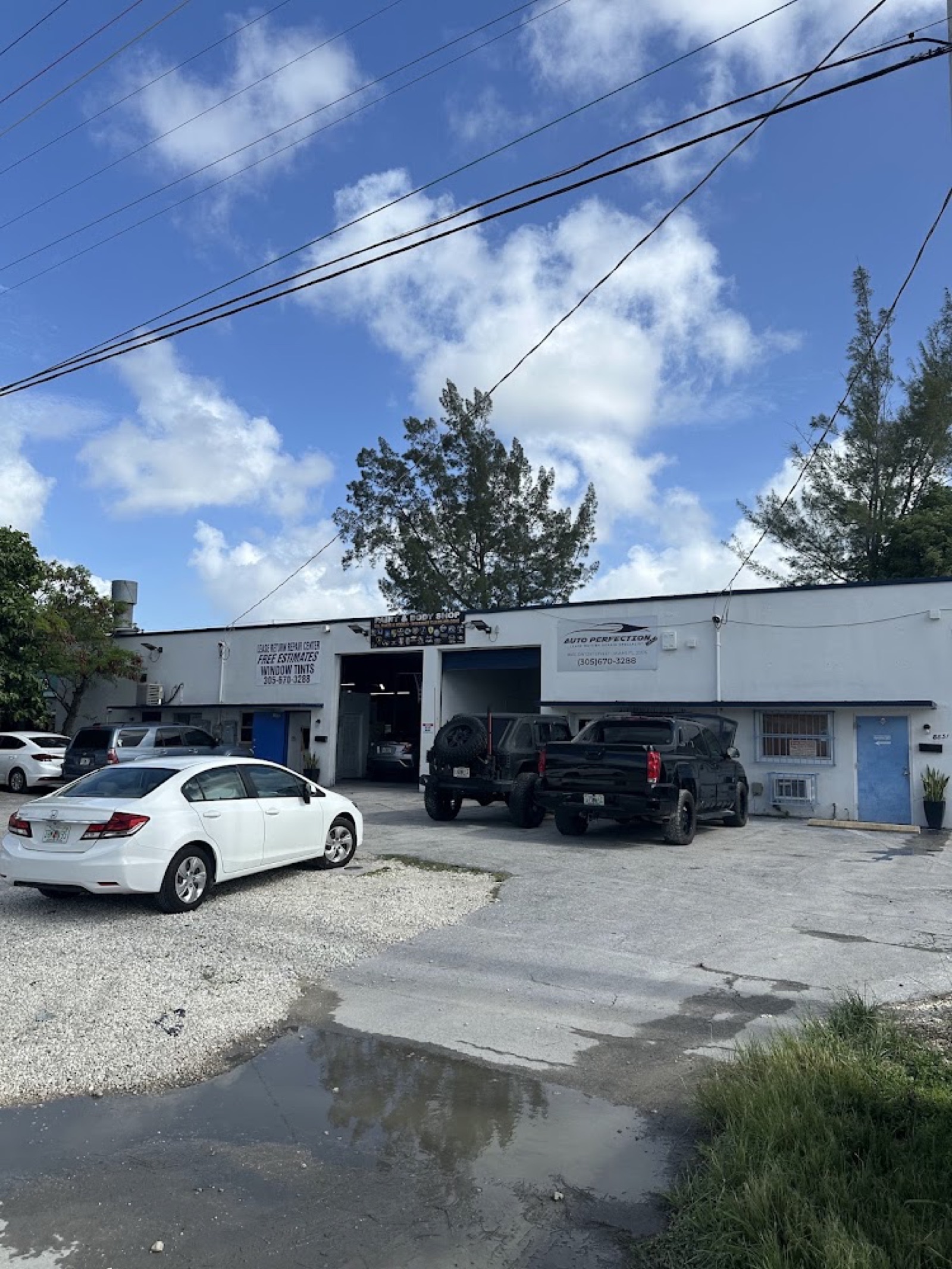 Auto Perfection Miami shop at 8835 SW 129th St
